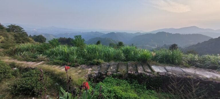 「中國白茶第一村」千年茶道石馬嶺