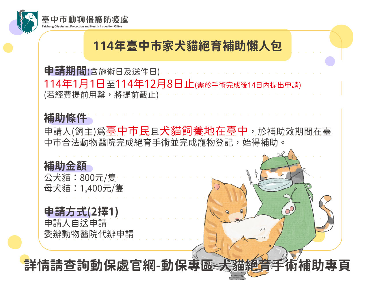 中市家犬貓絕育補助計畫開跑 動保處請飼主把握機會盡早申請