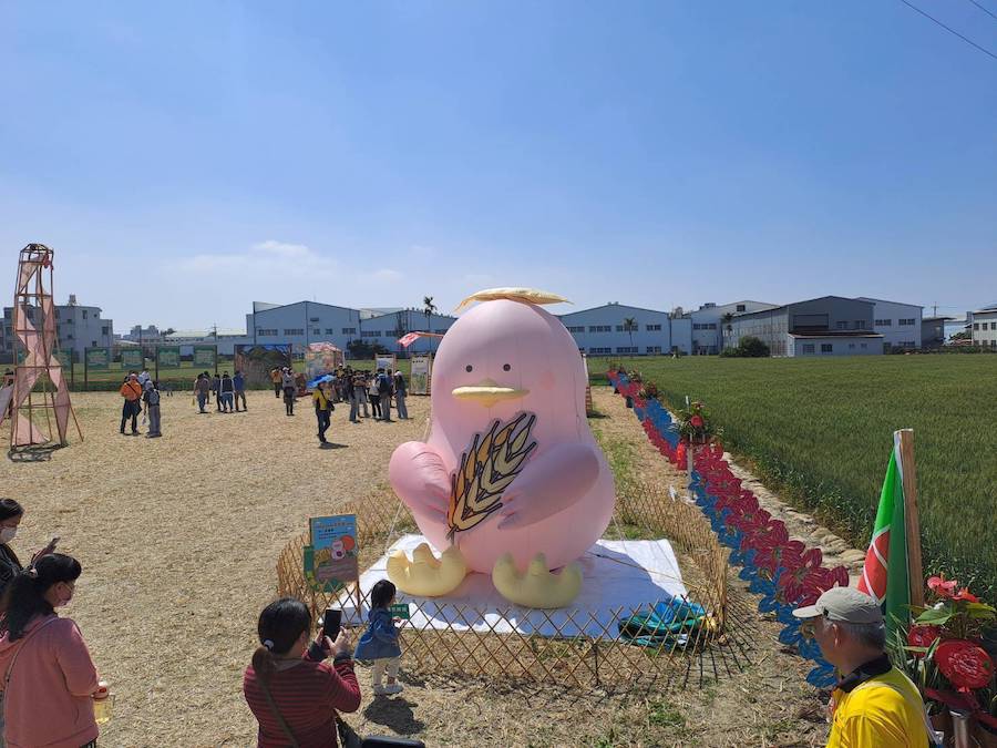 小麥產業文化節『浪麥隨蛇舞』登場 中市農業局邀您來大雅體驗金色麥浪的威力